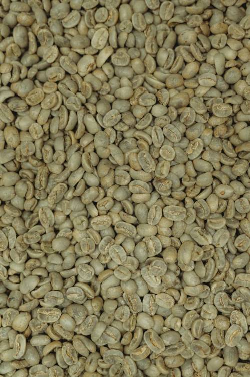 Ethiopia Sidamo - zelená 1kg