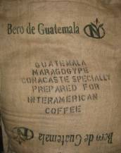 Guatemala Maragogype